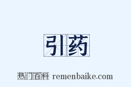 引药是什么意思的图片